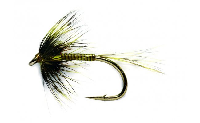 Jezern nymfa Cruncher olivov Traffic Light Jezern nymfa Cruncher olivov Traffic Light, vel. 10