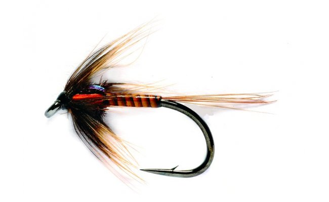 Jezern nymfa Cruncher oranov Traffic Light Jezern nymfa Cruncher oranov Traffic Light, vel. 10