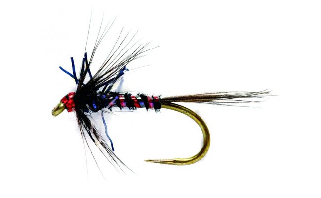 Jezern nymfa RS Nemo UV ern Jezern nymfa RS Nemo UV ern, vel. 10