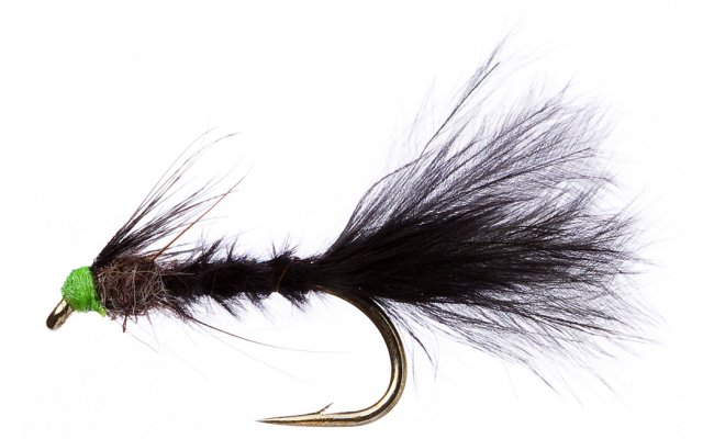 Jezern� nymfa s leskl�m h�b�tkem �ern� Jezern� nymfa s leskl�m h�b�tkem �ern�, vel. 10