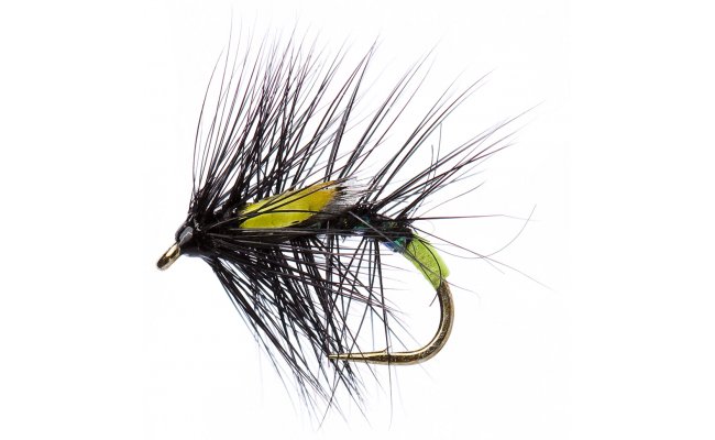 Jezern� Snatcher Palmer se zelen�m tipem �ern� Jezern� Snatcher Palmer se zelen�m tipem �ern�, vel. 12