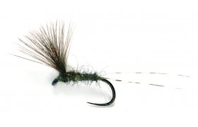 JL Upwing CdC JL Upwing CdC, vel. 17