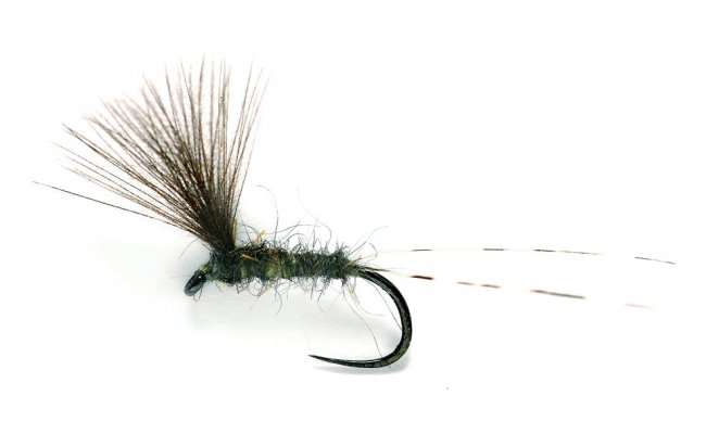 JL Upwing CdC JL Upwing CdC, vel. 17