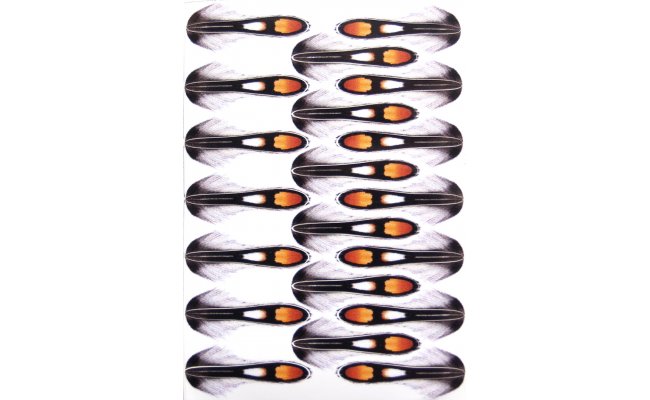 Jungle Cock Imitace Ji Klma Jungle Cock Imitace Ji Klma prodn 1, 1 cm, 150 ks