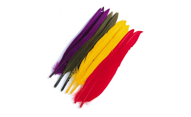 Kachn pe  letkov Veniard Duck Quills Kachn pe  letkov Veniard Duck Quills bl