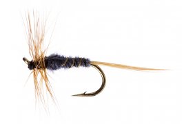 Kite's Imperial Kite's Imperial, vel. 16