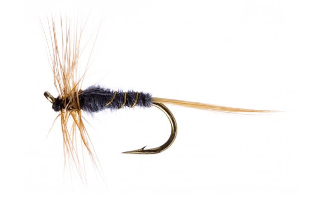 Kite's Imperial Kite's Imperial, vel. 16