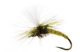 Klinkhamer Light Olive Klinkhamer Light Olive, č. 16