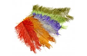 Krtk strakat ptros pe Veniard Barred Short Ostrich Krtk strakat ptros pe Veniard Barred Short Ostrich zelen