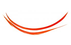 Krocan Biots Hends Turkey Krocan Biots Hends Turkey hnd