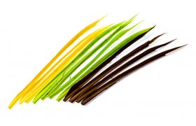 Krocan Biots Veniard Turkey Biots Krocan Biots Veniard Turkey Biots bl