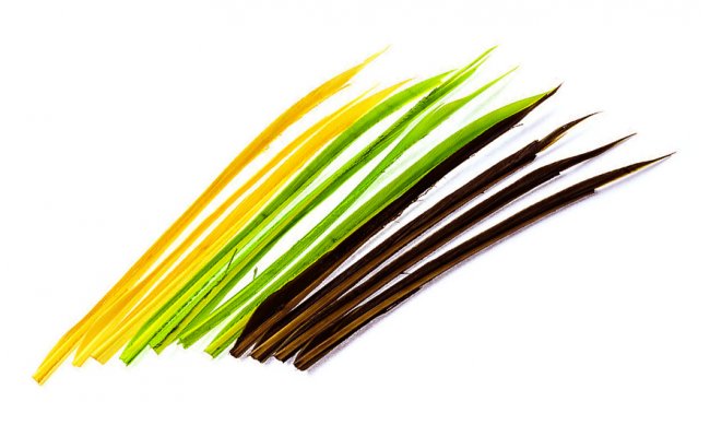 Krocan Biots Veniard Turkey Biots Krocan Biots Veniard Turkey Biots bl