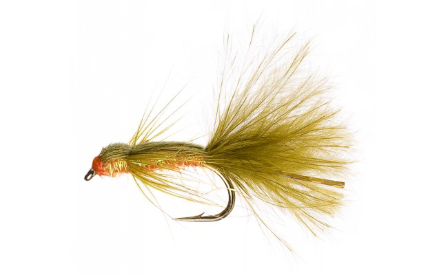 Larva idlka s tpytiv oranovm tlkem Larva idlka s tpytiv oranovm tlkem, vel. 10