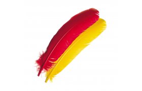 Letkov krocan pe Veniard Turkey Broad Wing Quills Letkov krocan pe Veniard Turkey Broad Wing Quills bl