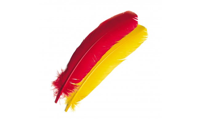 Letkov krocan pe Veniard Turkey Broad Wing Quills Letkov krocan pe Veniard Turkey Broad Wing Quills bl