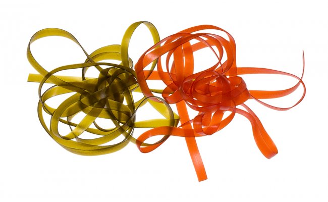 Live Body Ji Klma Live Body Ji Klma olivov