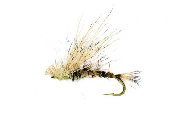Mayfly Emerger Mayfly Emerger, vel. 10