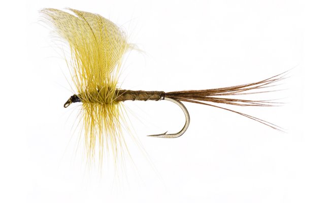 Mayfly Green Drake Mayfly Green Drake, vel. 10
