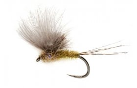 McPhail CDC Olive B/L McPhail CDC Olive B/L, vel. 16