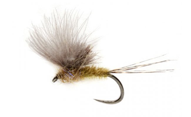 McPhail CDC Olive B/L McPhail CDC Olive B/L, vel. 16