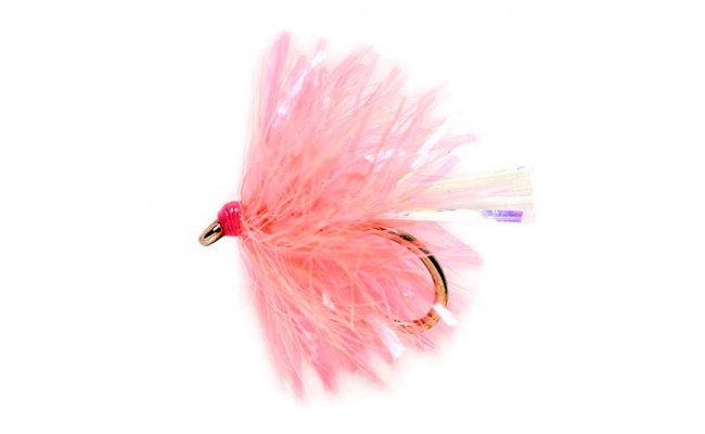 Micro Coral Blob Micro Coral Blob, vel. 12