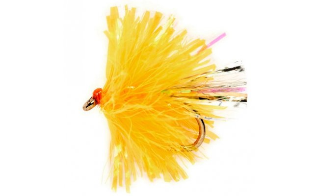 Micro Sunburst Blob Micro Sunburst Blob, vel. 12