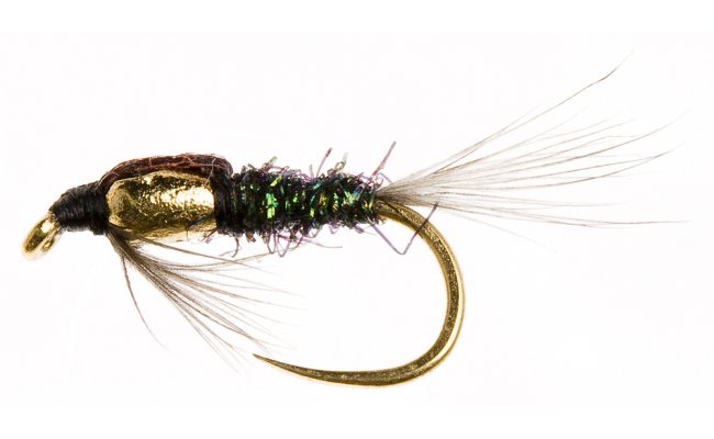 Mikronymfa s kapkou Ji�� Kl�ma Gold 08 Mikronymfa s kapkou Ji�� Kl�ma Gold 08, �. 14