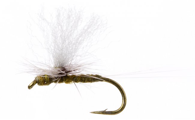 Minnikin's Paradun Dark Olive Minnikin's Paradun Dark Olive, vel. 16