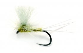 Minnikin's Paradun Olive Minnikin's Paradun Olive, vel. 17