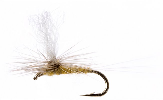 Minnikin's Paradun Pale Watery Minnikin's Paradun Pale Watery, vel. 18