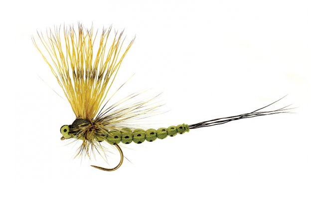 Mohican Mayfly Olive B/L Mohican Mayfly Olive B/L, vel. 10
