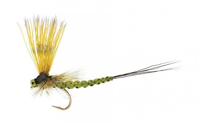 Mohican Mayfly Olive Mohican Mayfly Olive, vel. 10