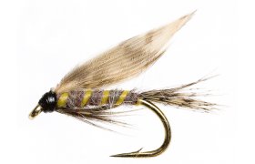 Mokr Beznovka prodn Mokr Beznovka prodn, vel. 12