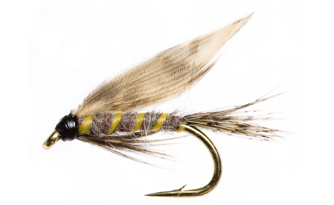 Mokr Beznovka prodn Mokr Beznovka prodn, vel. 12