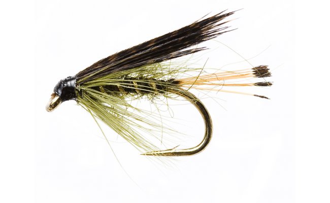 Mokr� jepice olivov� Mokr� jepice olivov�, vel. 12