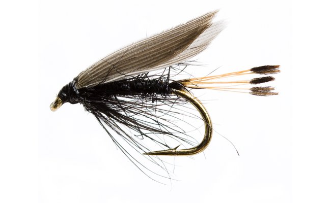 Mokr okdlen chmenka ern Mokr okdlen chmenka ern, vel. 12