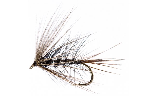 Mokr Dabbler erno-stbrn Mokr Dabbler erno-stbrn, vel. 10