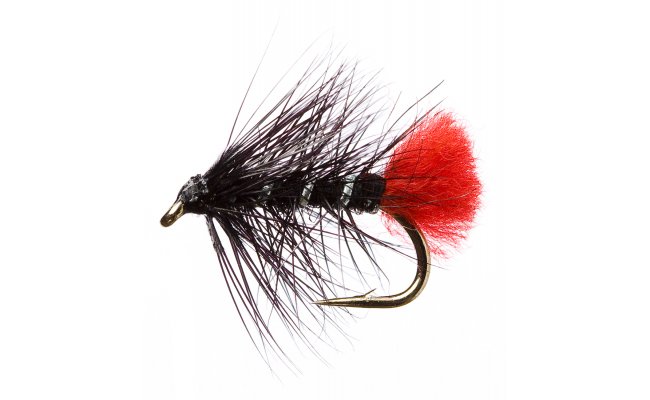 Mokr palmer Zulu s ervenm tipem ern Mokr palmer Zulu s ervenm tipem ern, vel. 12