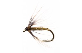 Mokr pavouek Greenwellka Mokr pavouek Greenwellka, vel. 14