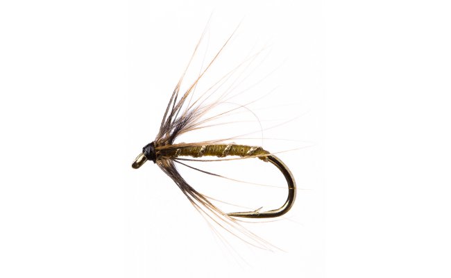 Mokr pavouek Greenwellka Mokr pavouek Greenwellka, vel. 14