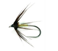 Mokr pavouek s perleovm tlkem