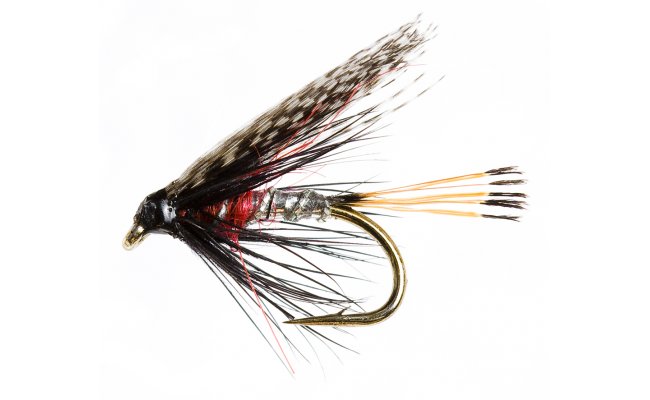 Mokr Peter Ross Mokr Peter Ross, vel. 12