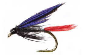 Mokr eznk stbrn Mokr eznk stbrn, vel. 12