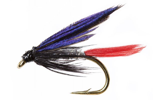 Mokr eznk stbrn Mokr eznk stbrn, vel. 12