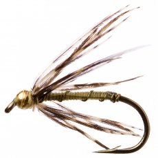 Mokr zlatohlav pavouek s noikami z koroptve