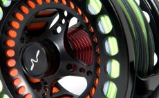 Detail p�edn� strany