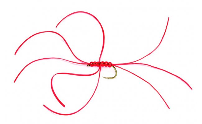 Northern Spider Red Bloodworm B/L Northern Spider Red Bloodworm, vel. 10