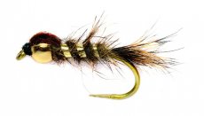 Gold Nugget Hare's Ear B/L