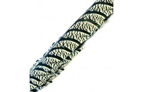 Ocas diamantovho kohouta Veniard Amherst Pheasant Tail Ocas diamantovho kohouta Veniard Amherst Pheasant Tail vez 2ks