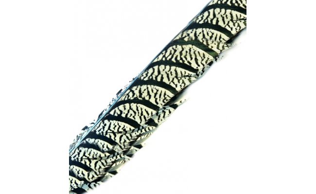 Ocas diamantovho kohouta Veniard Amherst Pheasant Tail Ocas diamantovho kohouta Veniard Amherst Pheasant Tail vez 2ks